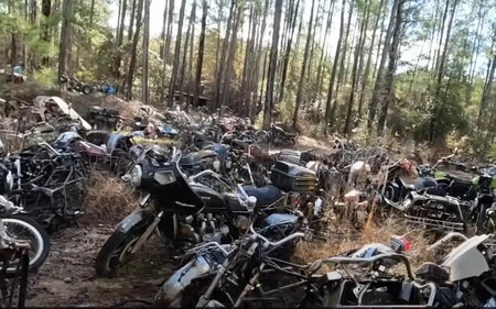 Escambia 2 2024